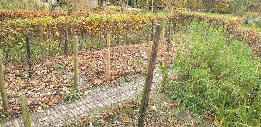 Winter afdekking met gevallen blad