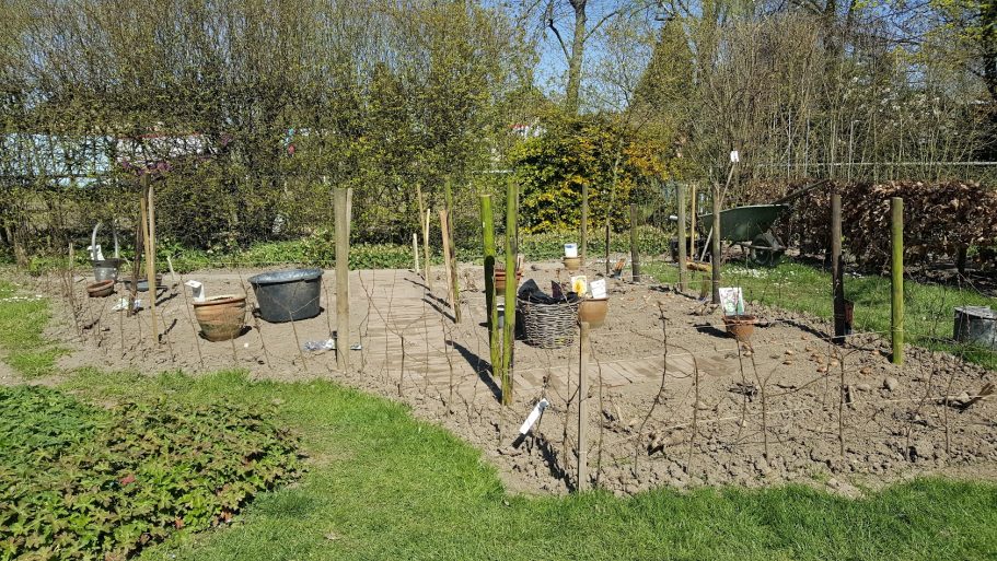 Keuzes maken, waar komt wat pluktuin de Kikvors