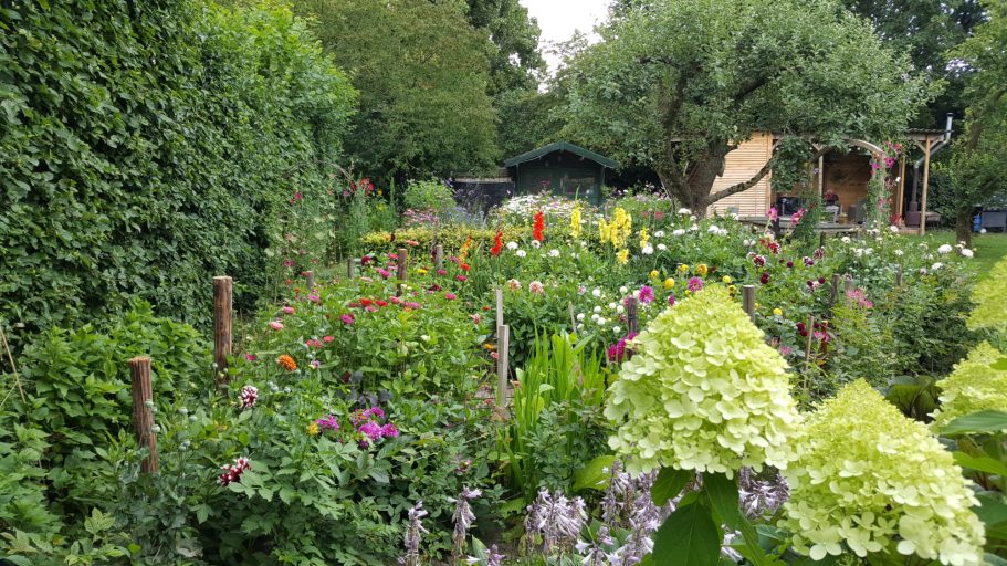 wat een uitzicht, dit wil je toch! pluktuin de Kikvors