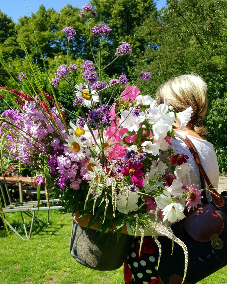 Wat een weelde! pluktuin de Kikvors