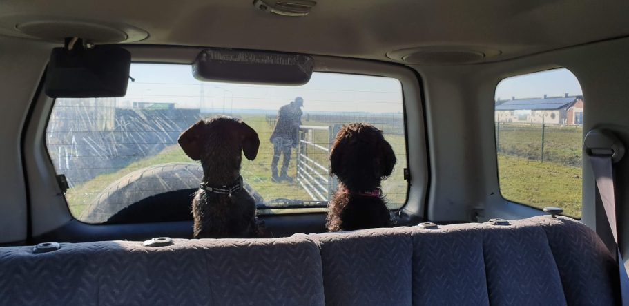 heel interessant allemaal