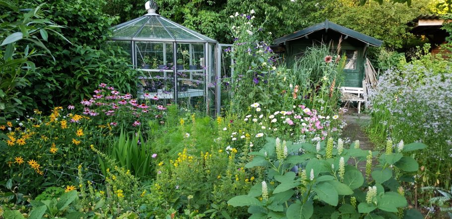 Wat een prachtig plaatje