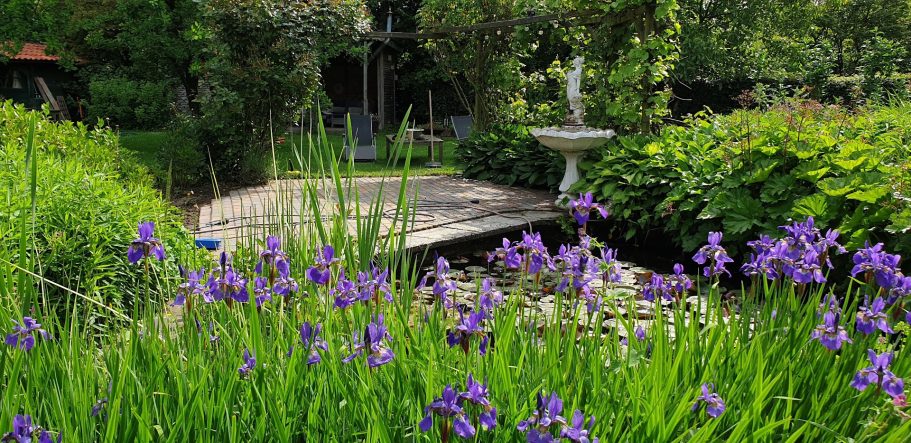 Plekje bij de vijver