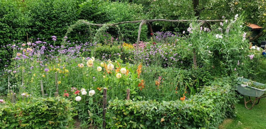 de Pluktuin pluktuin de Kikvors