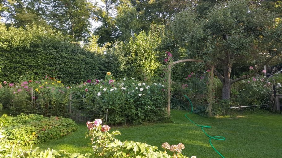 pluktuin plaatje pluktuin de Kikvors