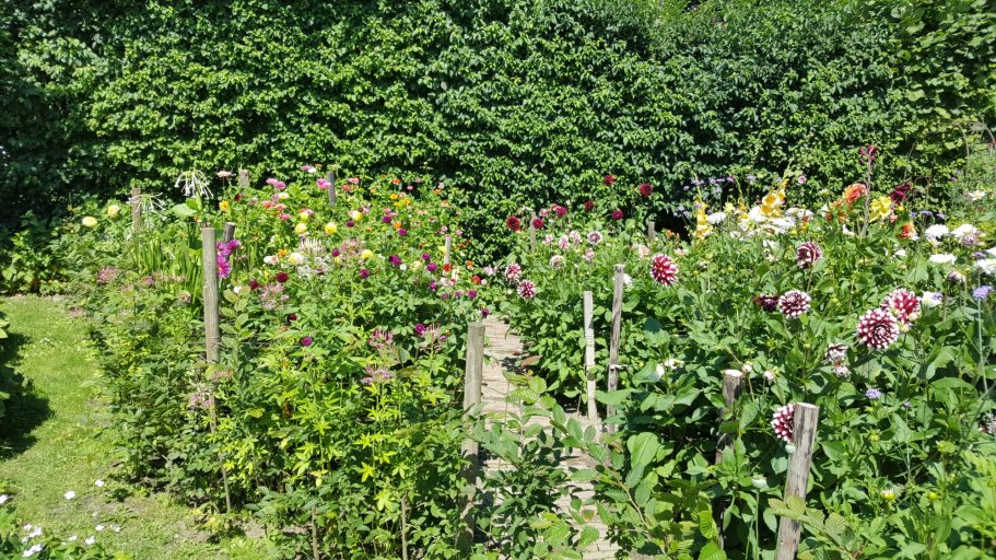 Bloeiende pluktuin pluktuin de Kikvors