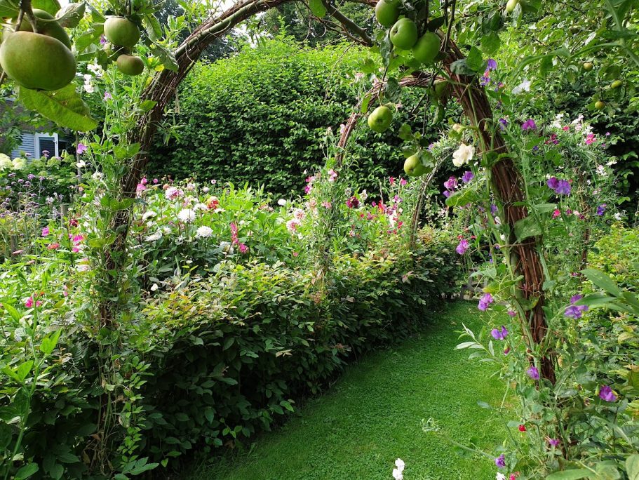 Onder de boogjes door pluktuin de Kikvors