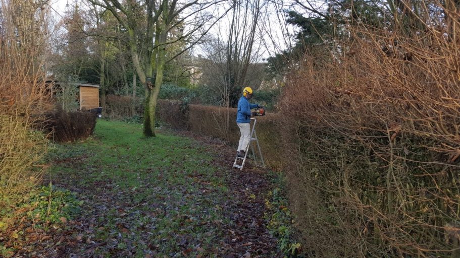 snoeiwerk pluktuin de Kikvors